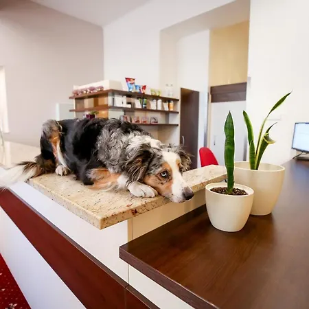 Hotel Tabor Hotel Tabor